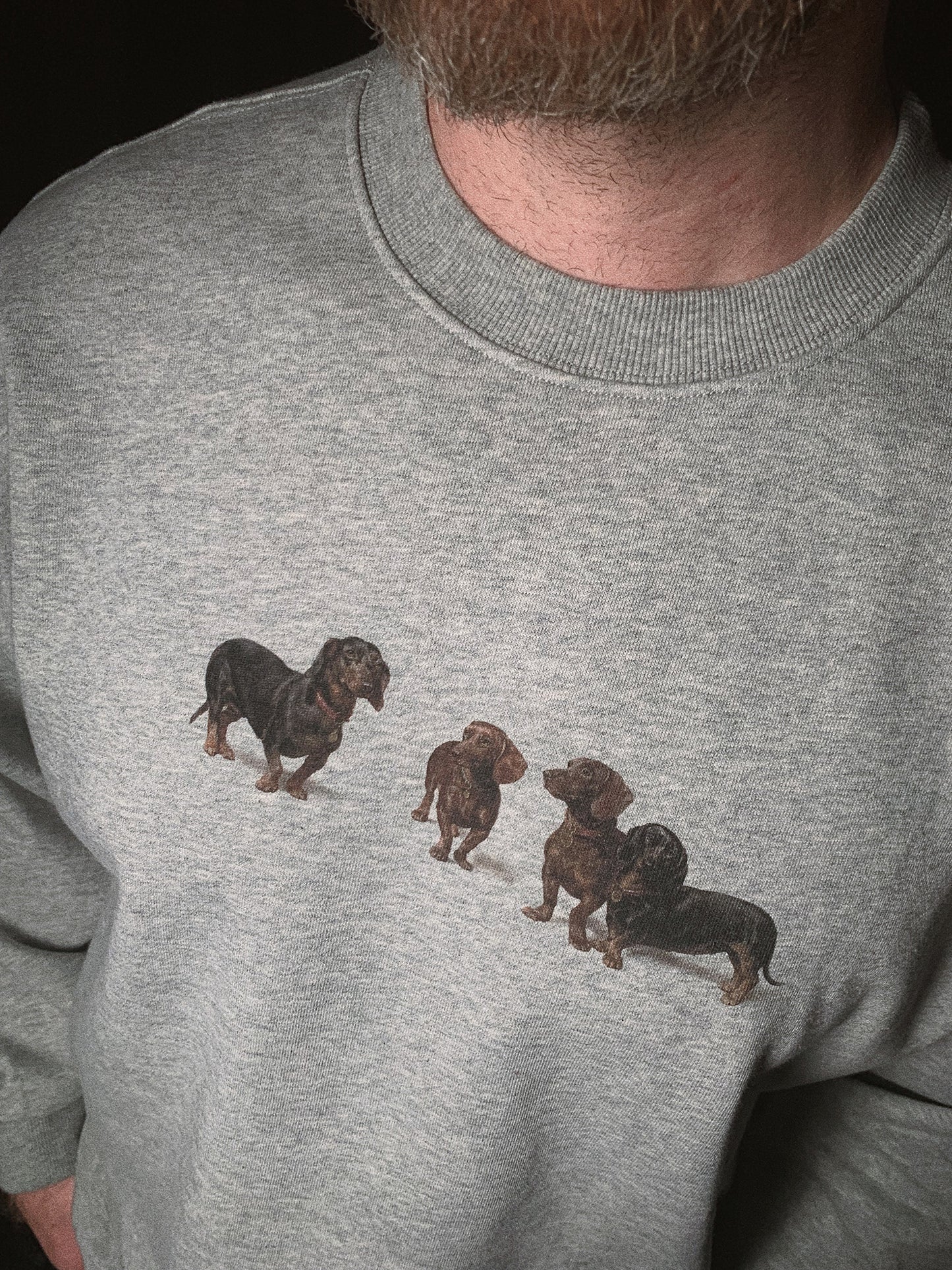 Dogs print crew neck sweatshirt_N82068