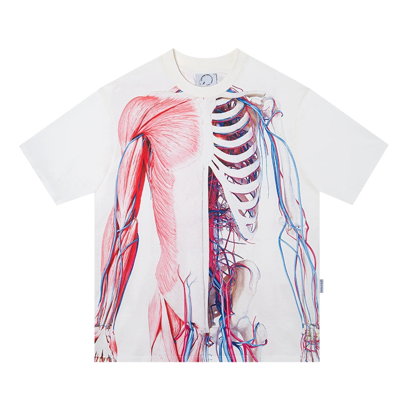 Transparent Human Skeleton Print T-Shirt_N81782
