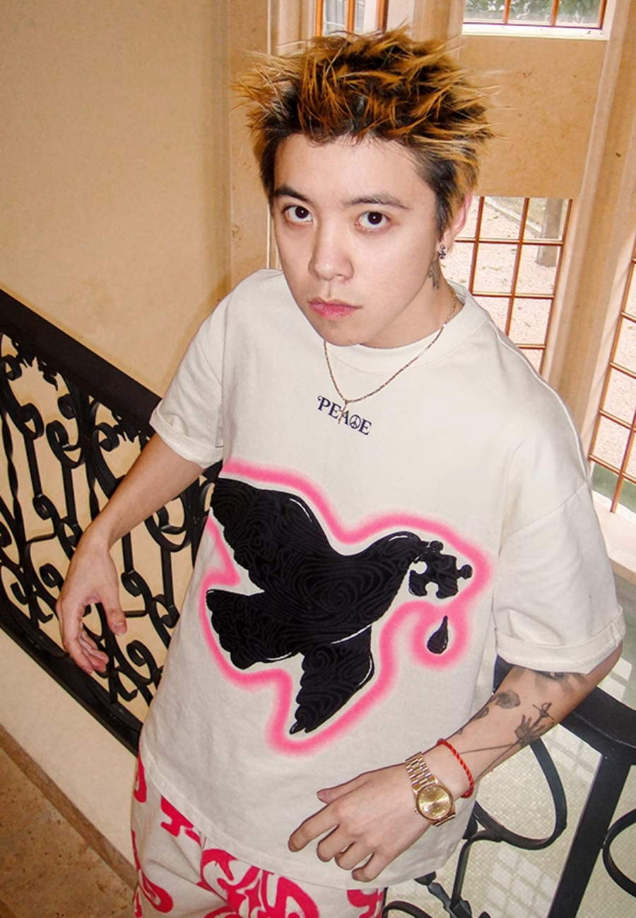 Peace Dove Suede Print T-Shirt_N81756